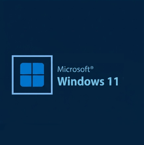 Windows 11